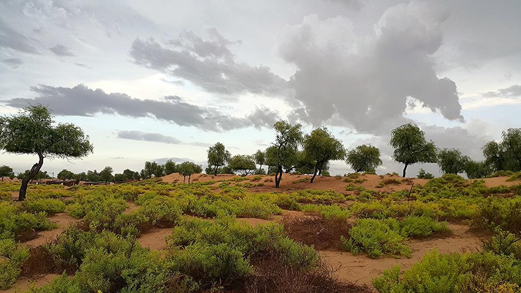 Al Reem Desert Camp Jalan Bani Buhassan Exterior foto
