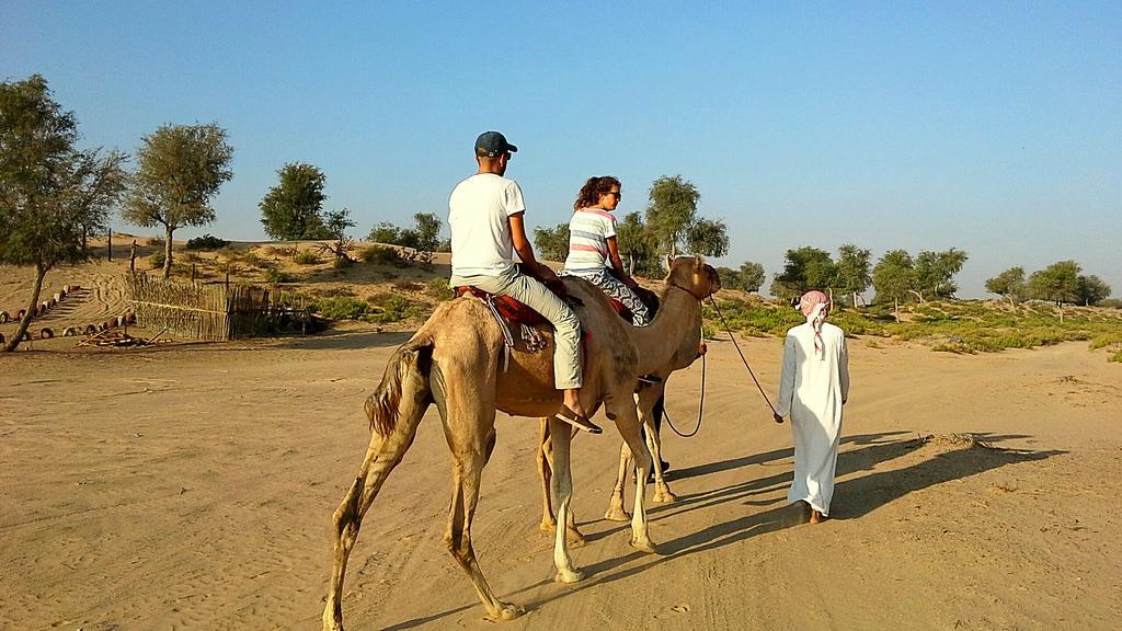 Al Reem Desert Camp Jalan Bani Buhassan Exterior foto