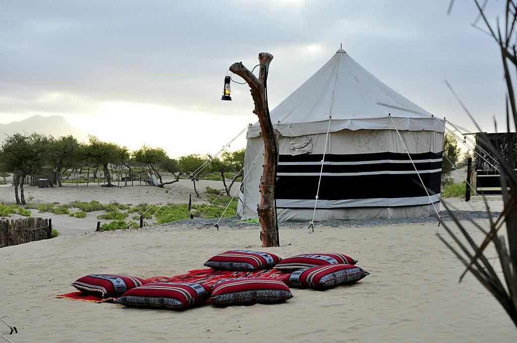 Al Reem Desert Camp Jalan Bani Buhassan Exterior foto